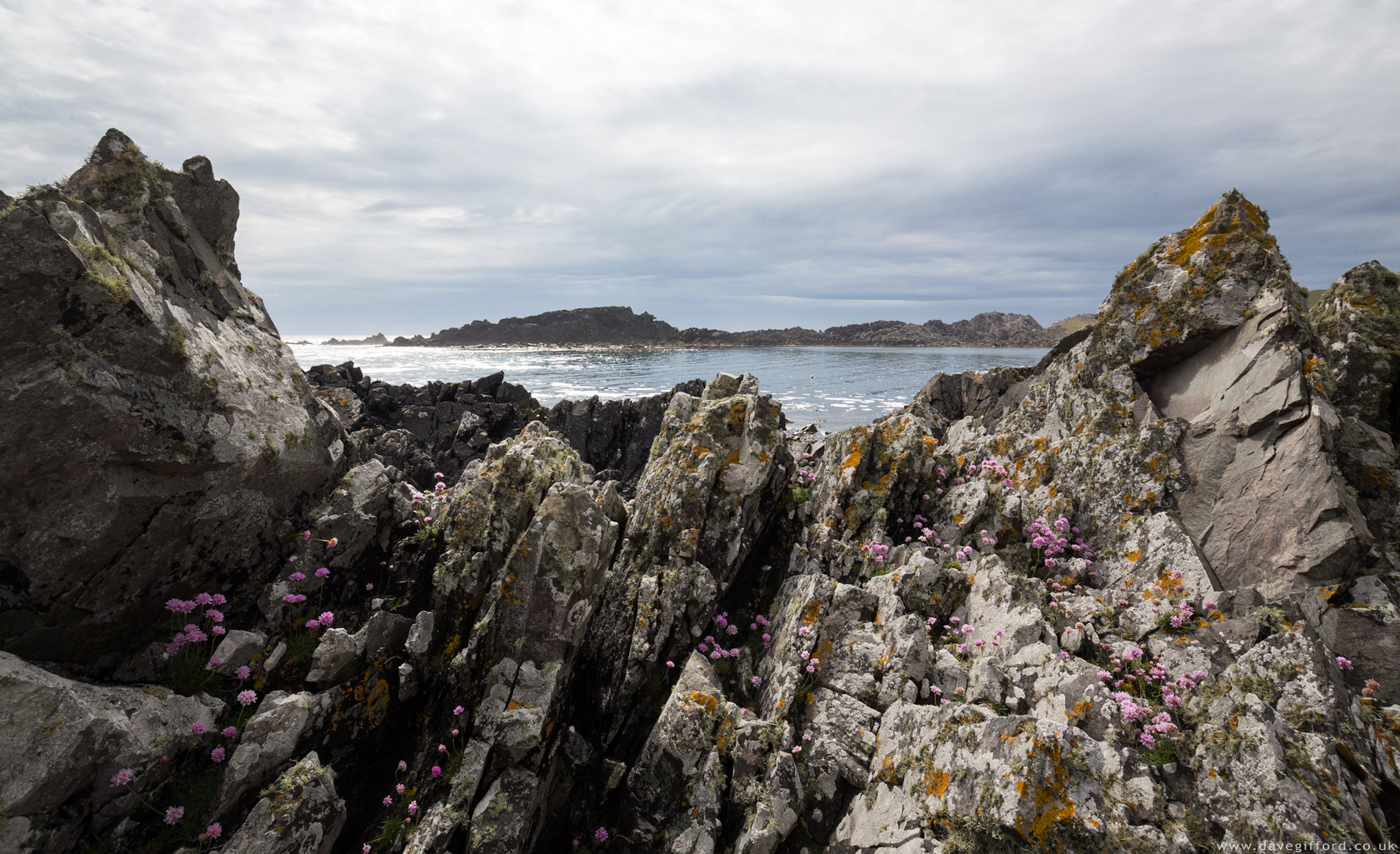 Photo: Sea Pink Rocks