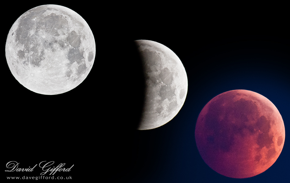 Photo: Red Moon Setting