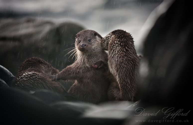 Photo: Playing in the Rain
