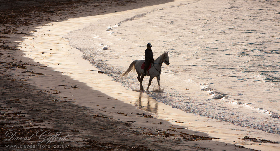 Photo: Horse Riding on the Beach
