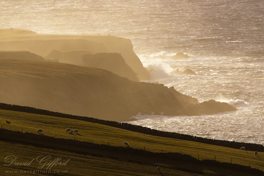 Photo: Shetland (Just Oot Da Window) 