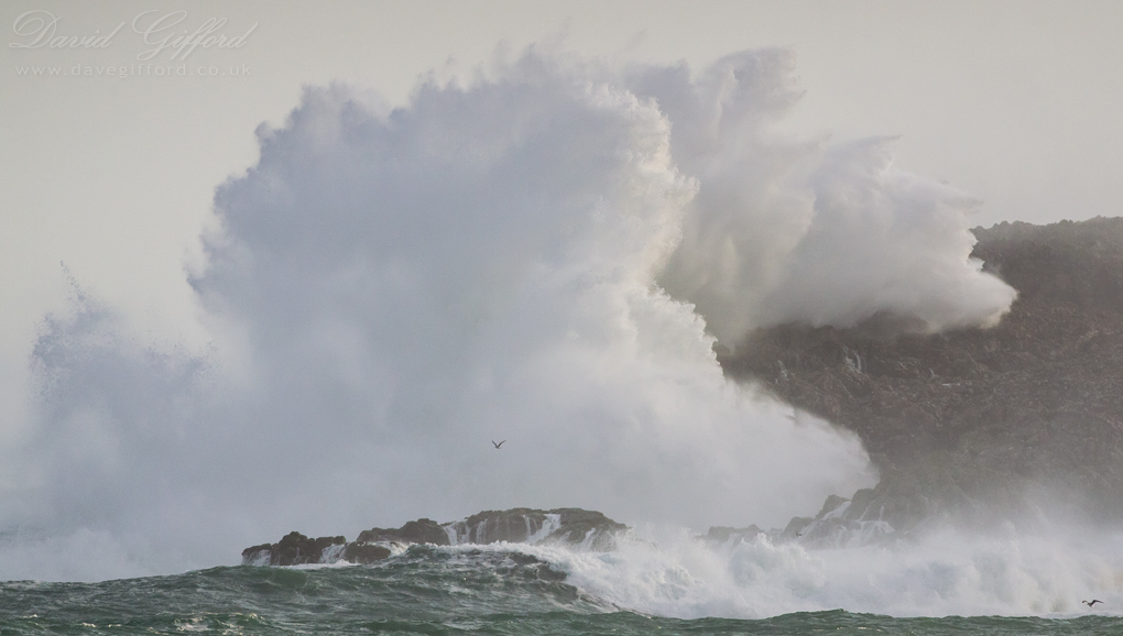 Photo: Wave Explosion II