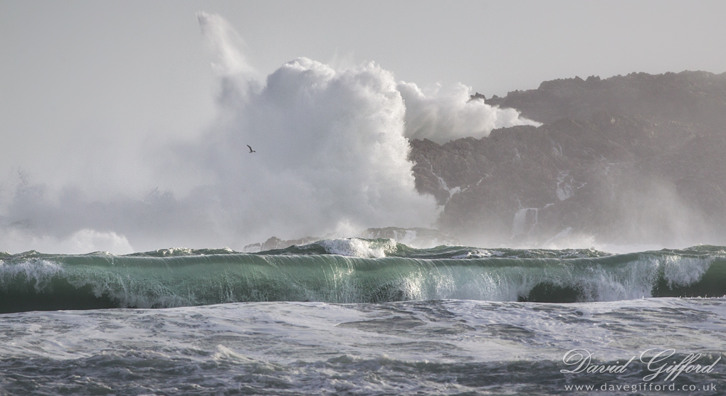 Photo: Wave Explosion