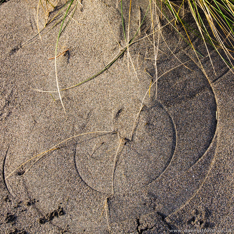 Photo: Sand Circles