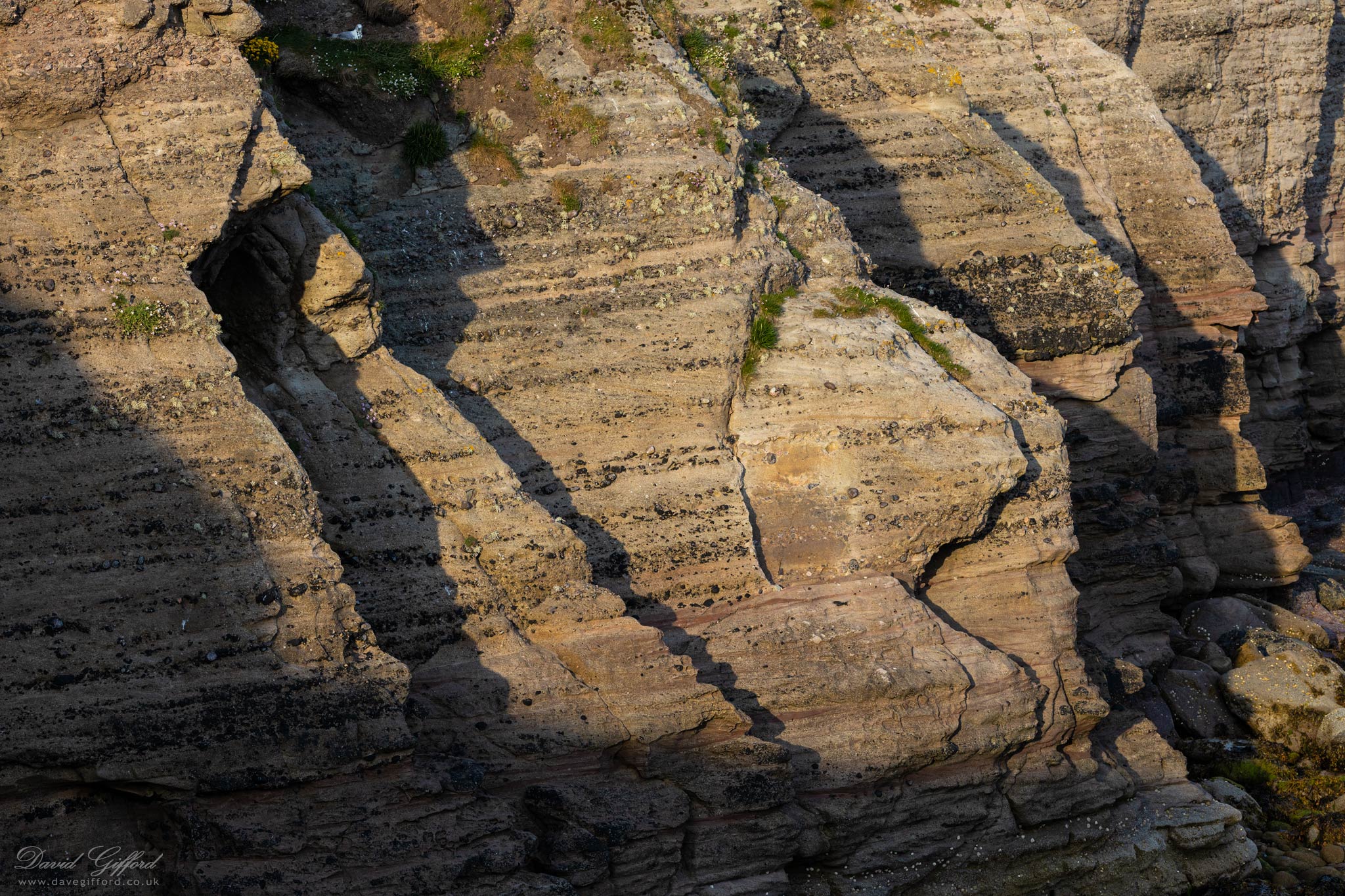 Photo: Gulberwick Geology