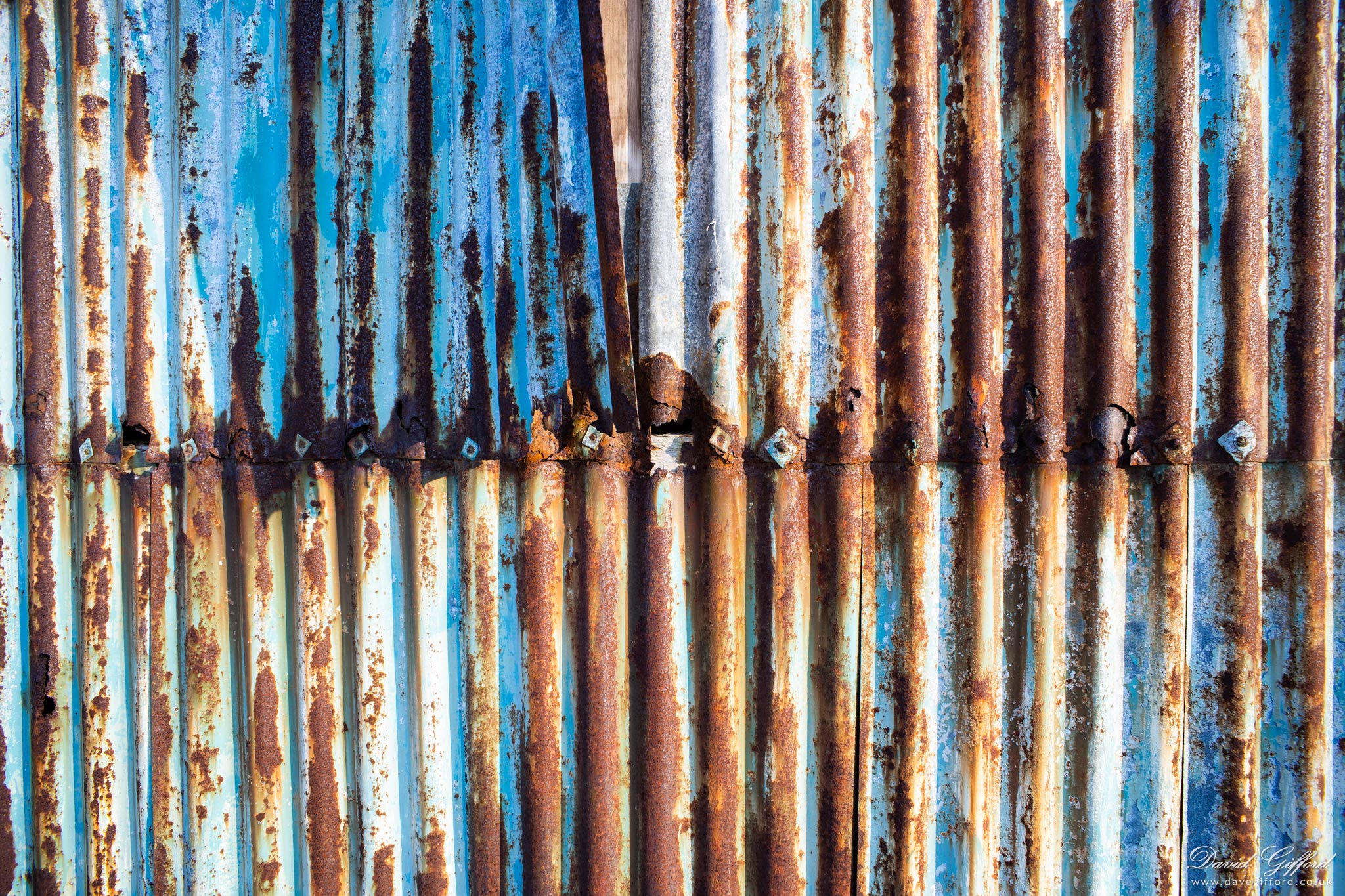 Photo: Rusty Shed
