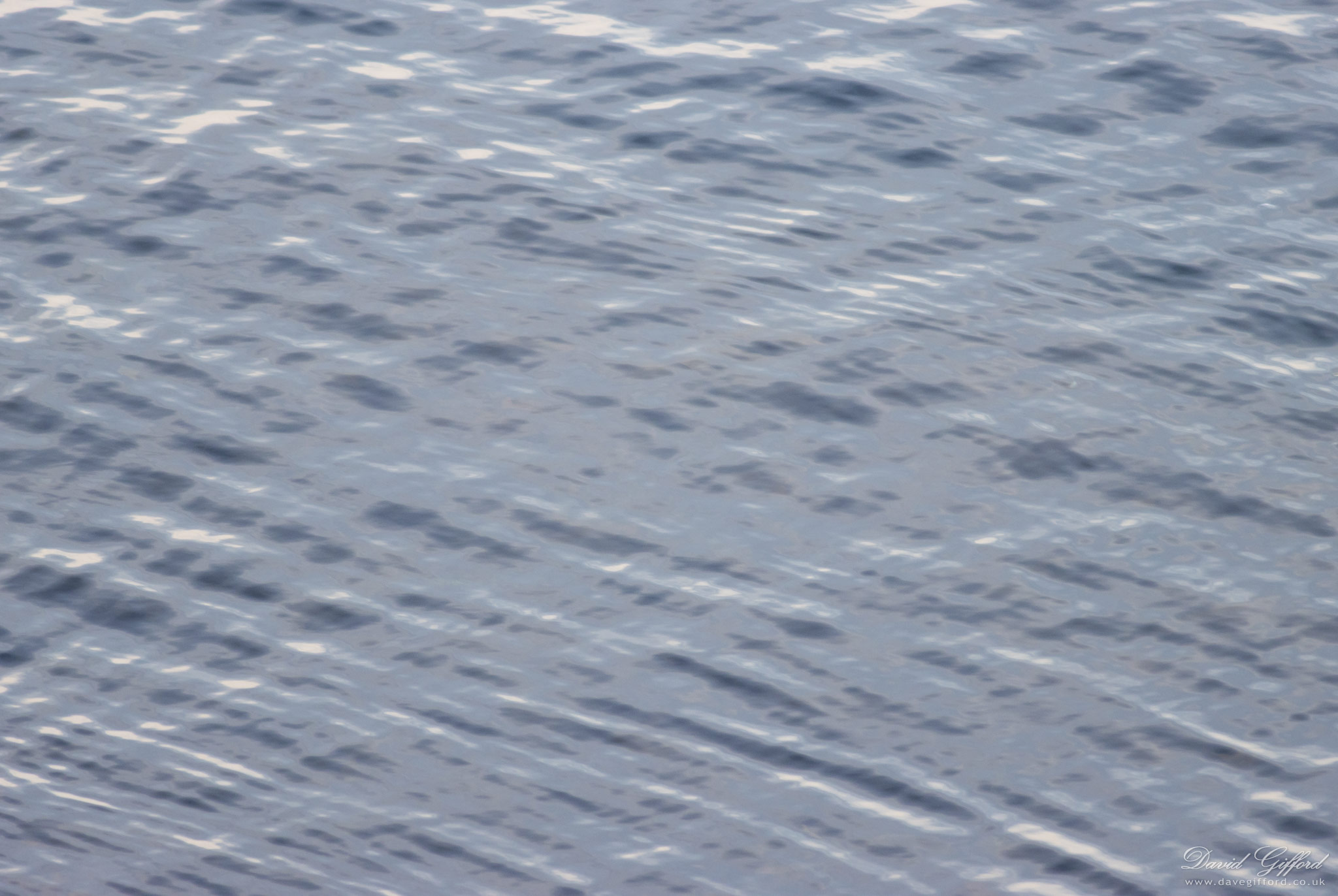 Photo: Sea Tartan