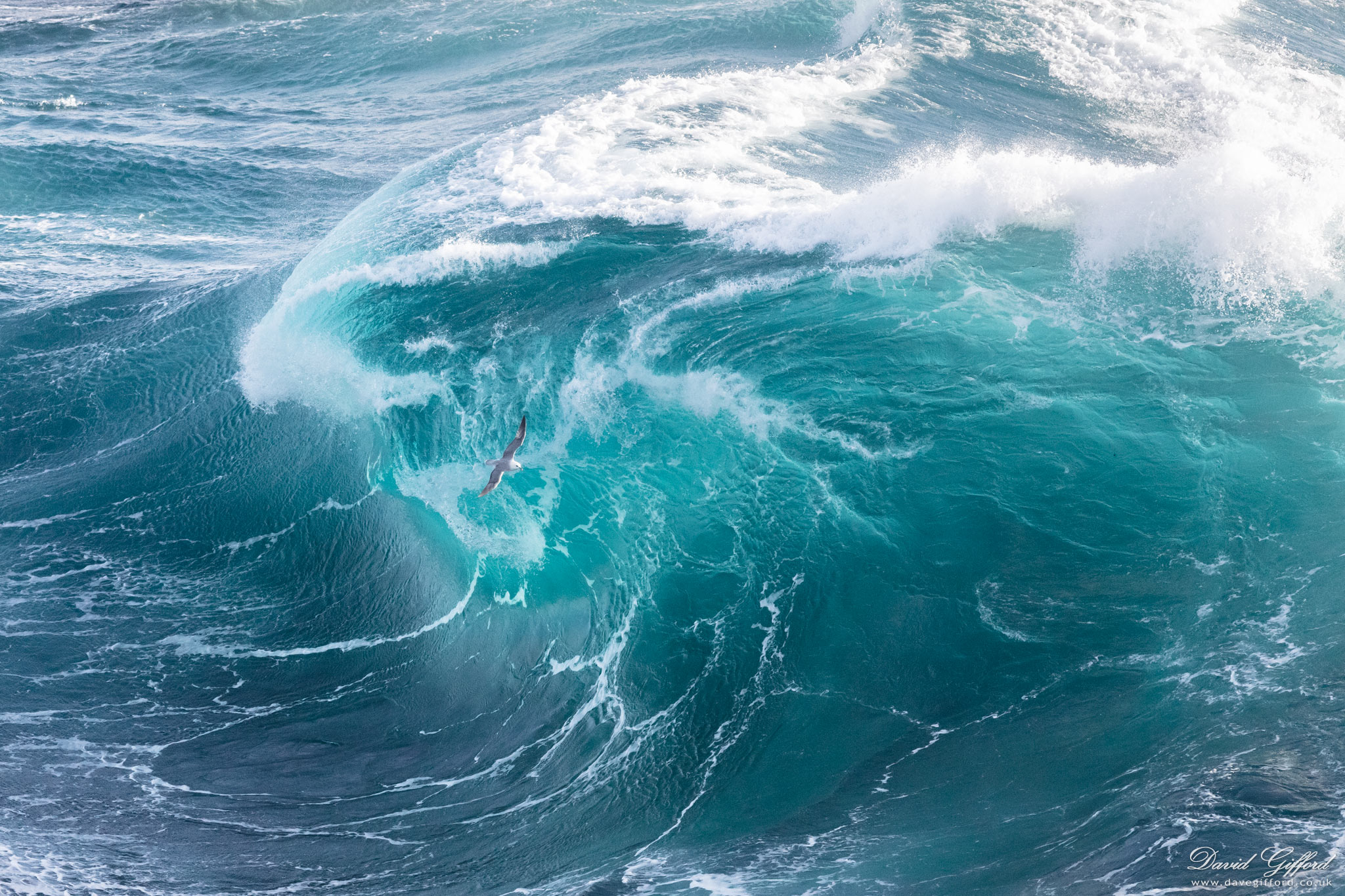 Photo: Wave Surfing