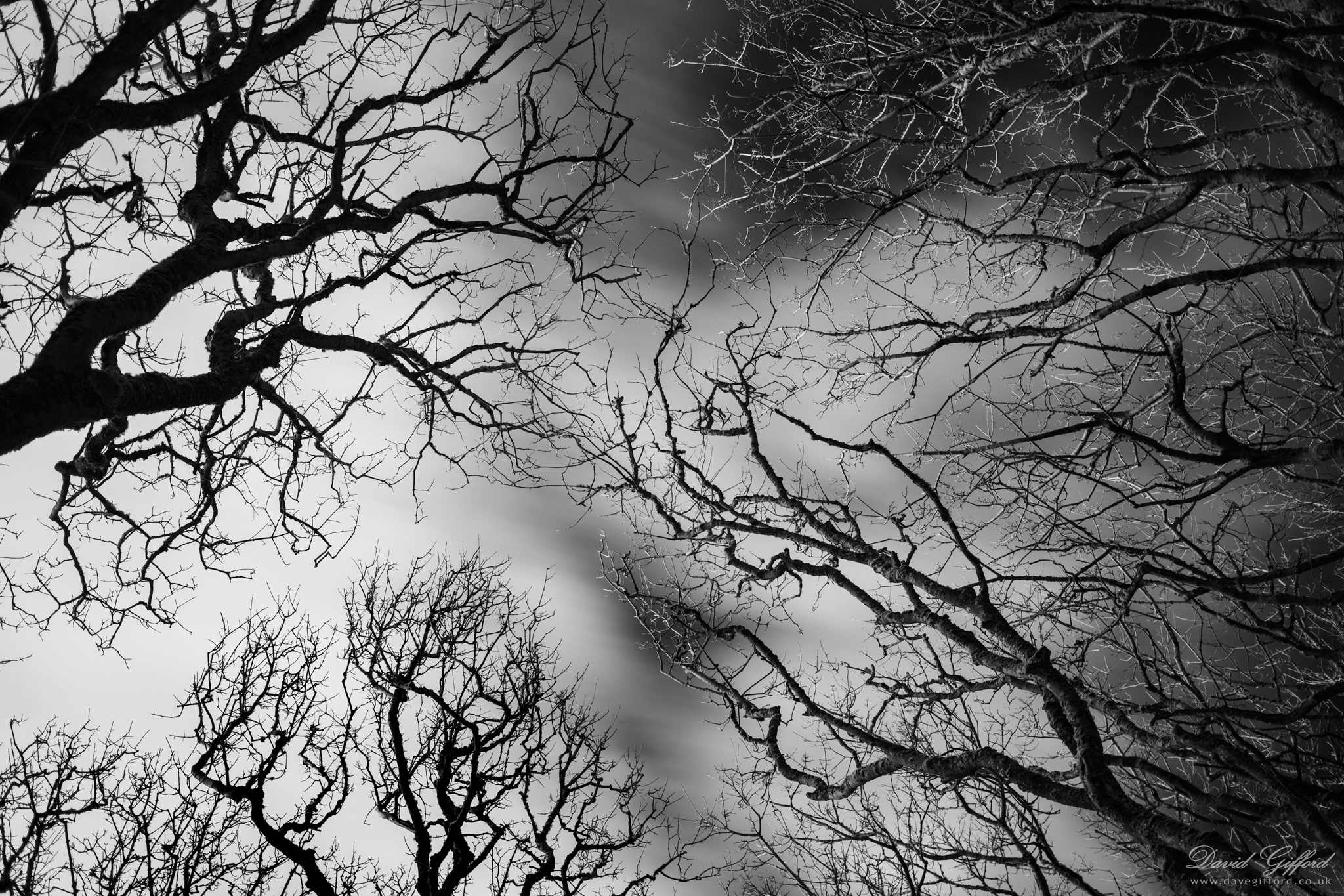Photo: Kergord Winter Canopy
