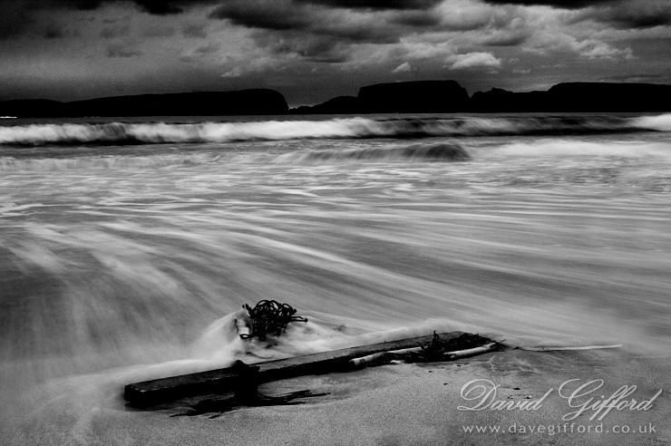 Photo: Dark Tide