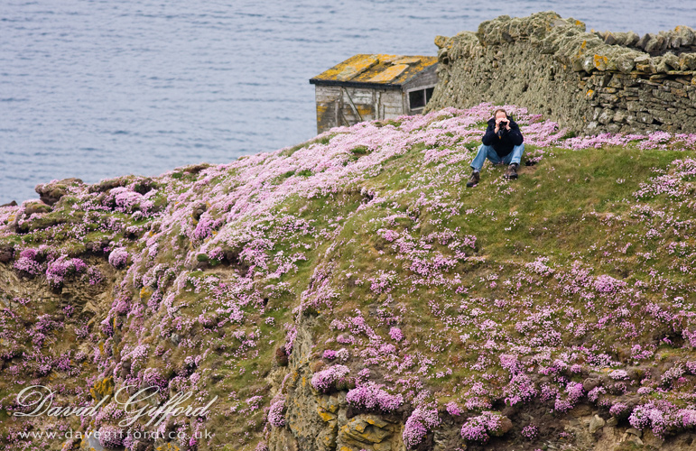 Photo: Pink Cliffs