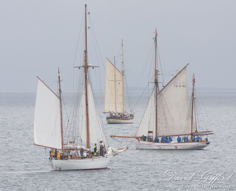 Photo: Quite Tall Ships