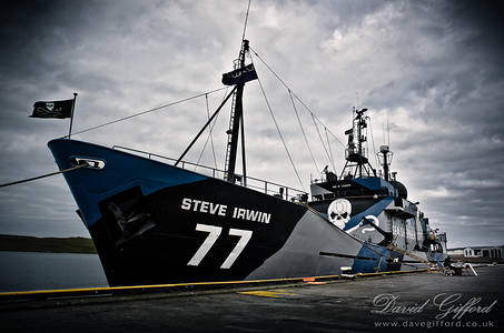 The Steve Irwin
