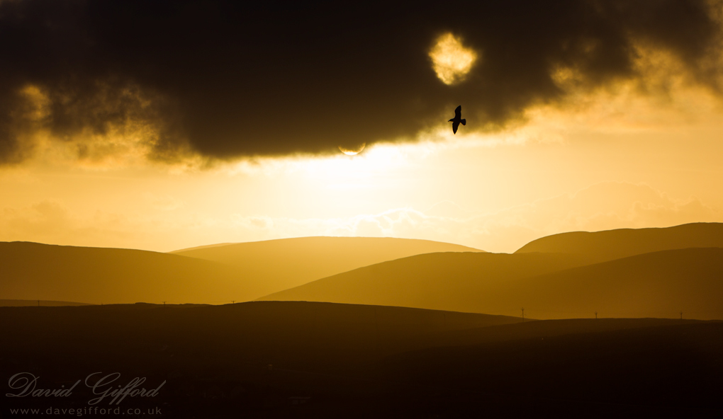 Photo: Shetland Hills