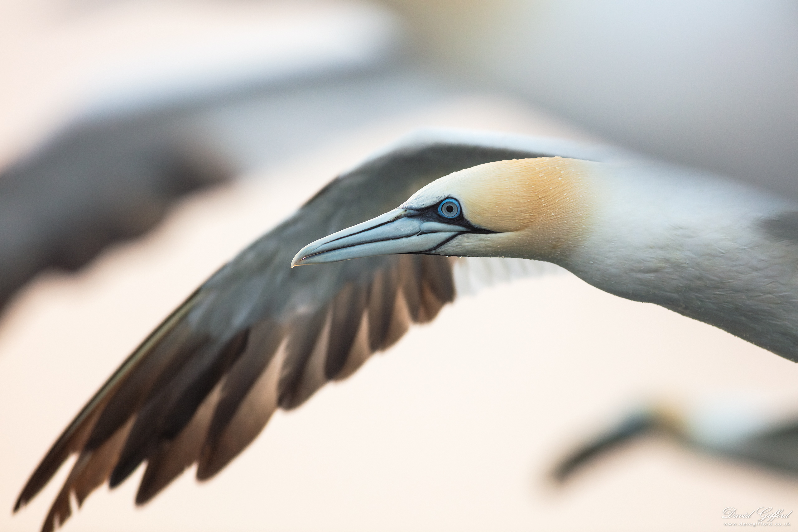 Photo: Bird’s-eye View