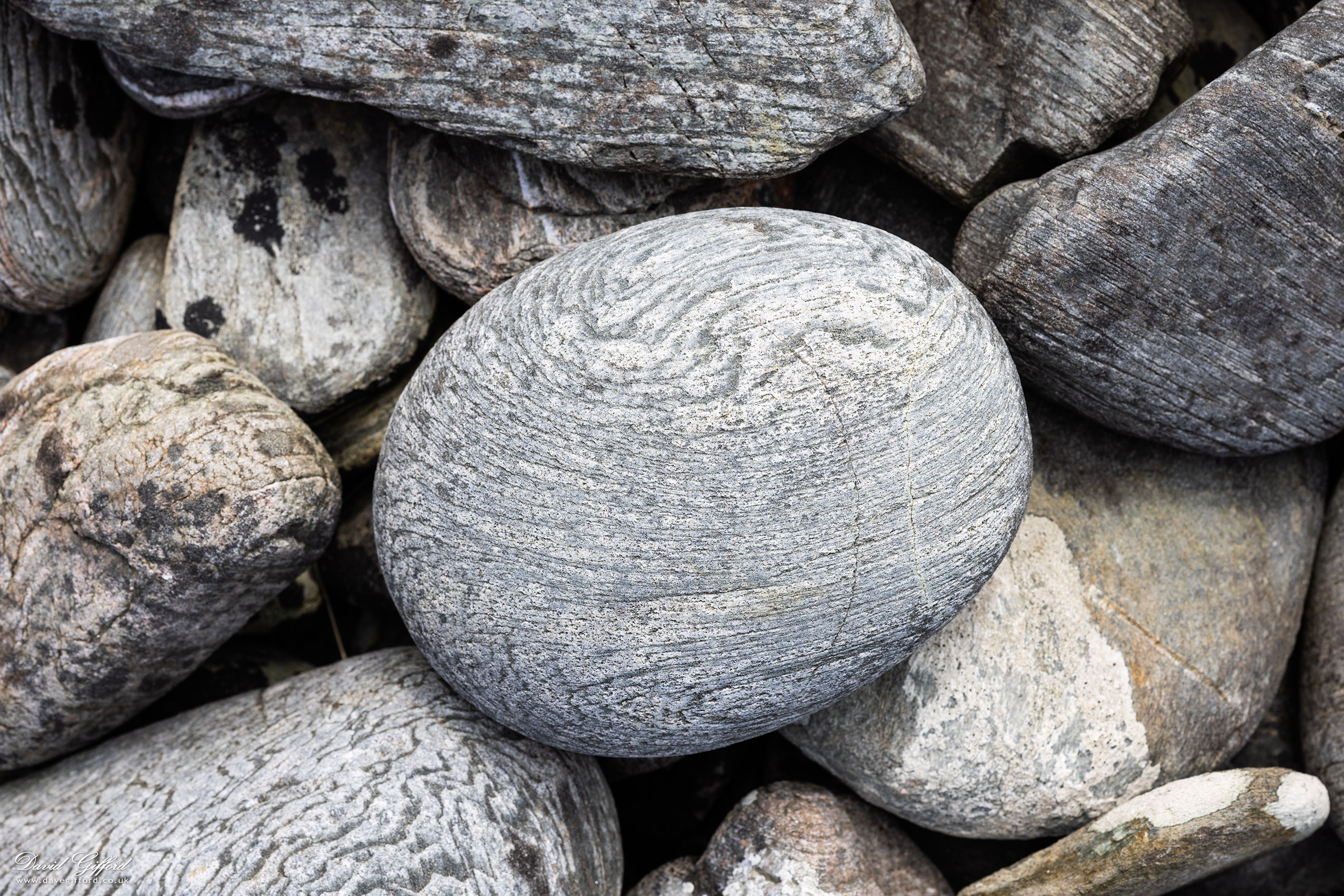 Photo: Sea-worn Geometry