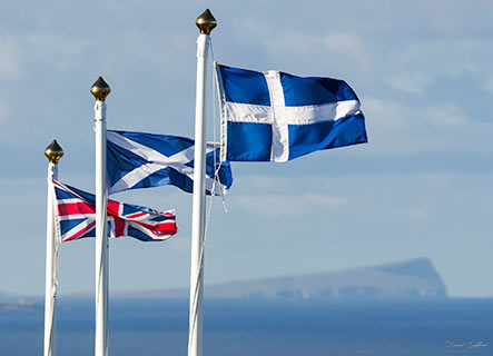 Shetland Political Winds