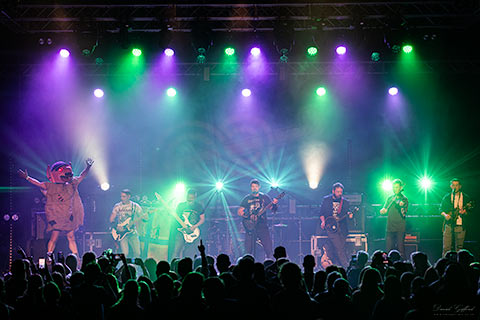 The Revellers